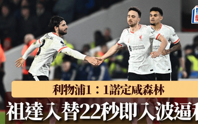 与洞见