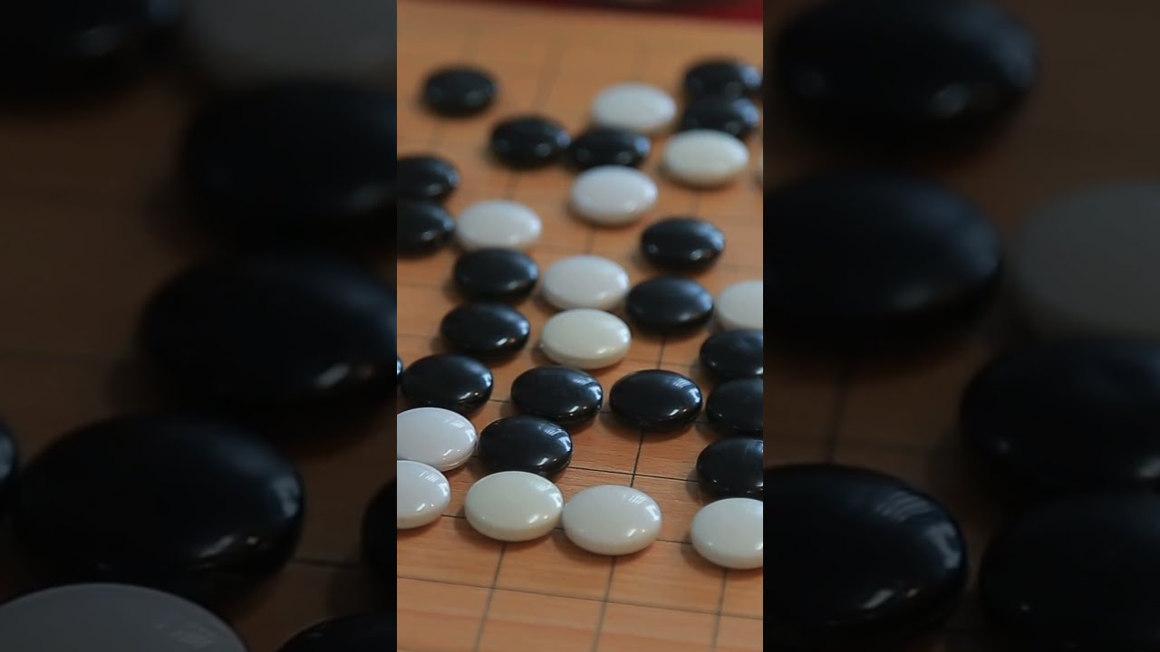 面对灰熊和